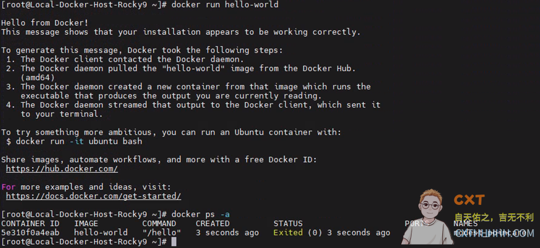 Docker Run 测试可以正常运行